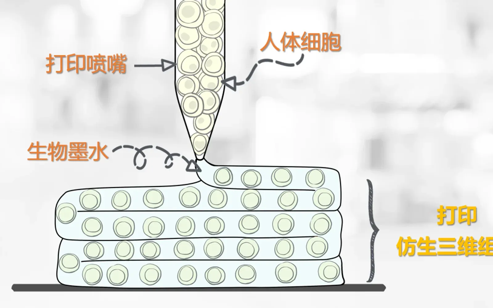 生物芯片扫描仪产品设备或系统示意图